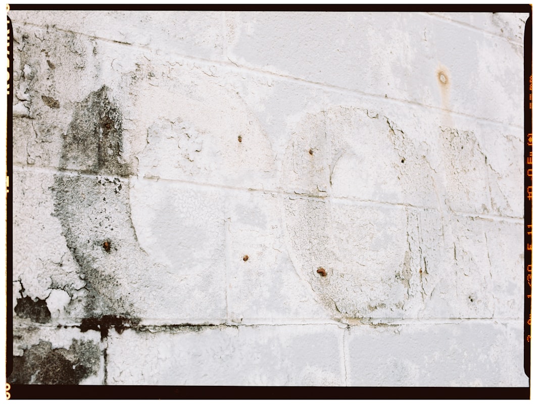 Water Extraction service in Bedford, TX