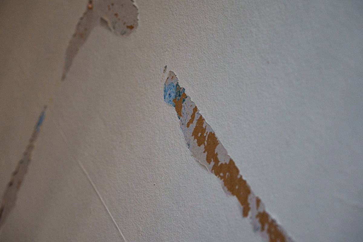 Structural Drying service in Bedford, TX